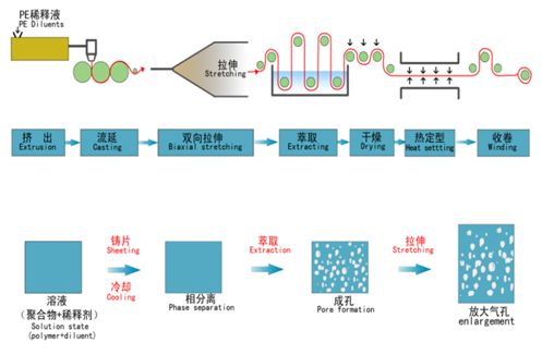 锂电隔膜成型