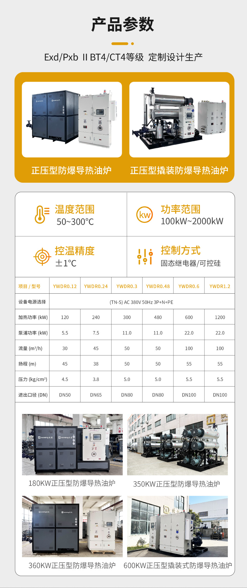 防爆电加热导热油炉 防爆电加热导热油炉